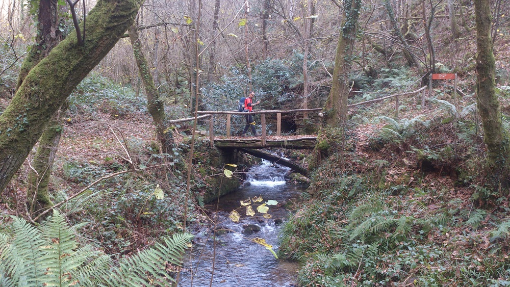 Puente sobre el rio