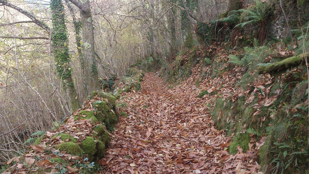 Sendero ruta de los molinos