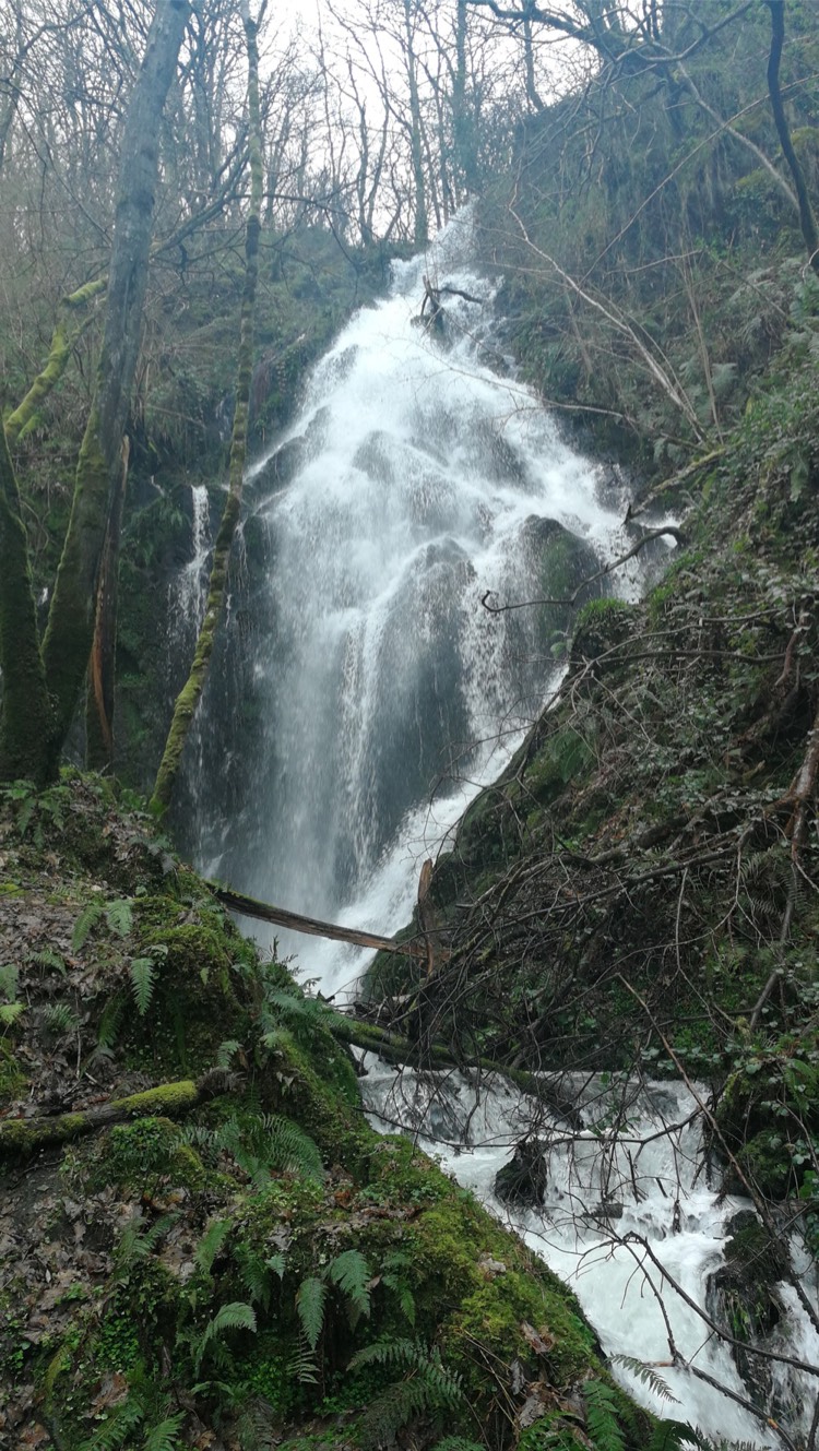 cascada de salgueira