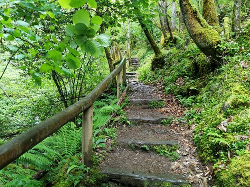 escaleras a la cascada